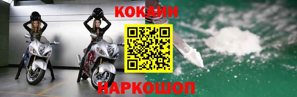 Бошки Шишки Кызыл