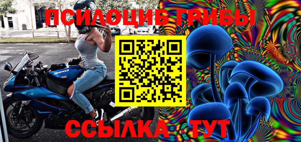 Псилоцибиновые грибы MAGIC MUSHROOMS Кызыл