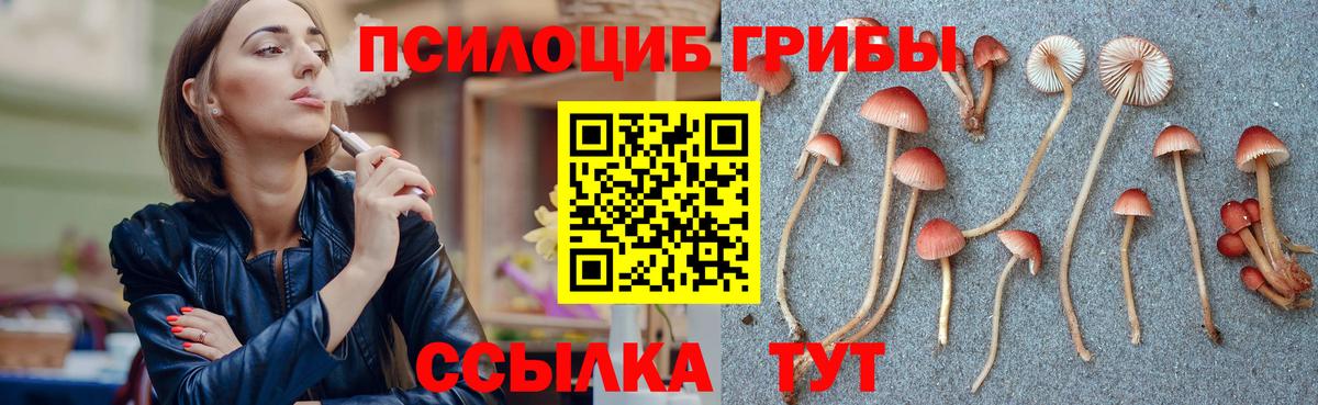 Псилоцибиновые грибы прущие грибы  Вход с VPN  Кызыл  Галлюциногенные грибы мухоморы 